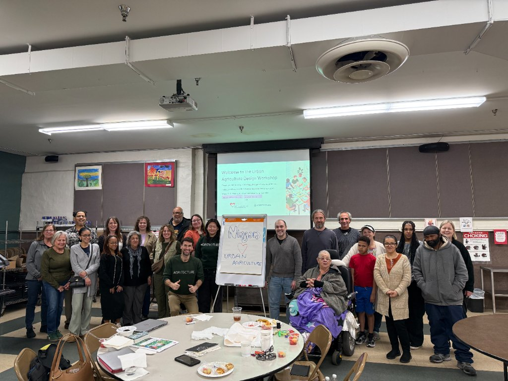 Community food security growing project run by a non-profit organization