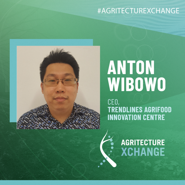 Anton Wibowo