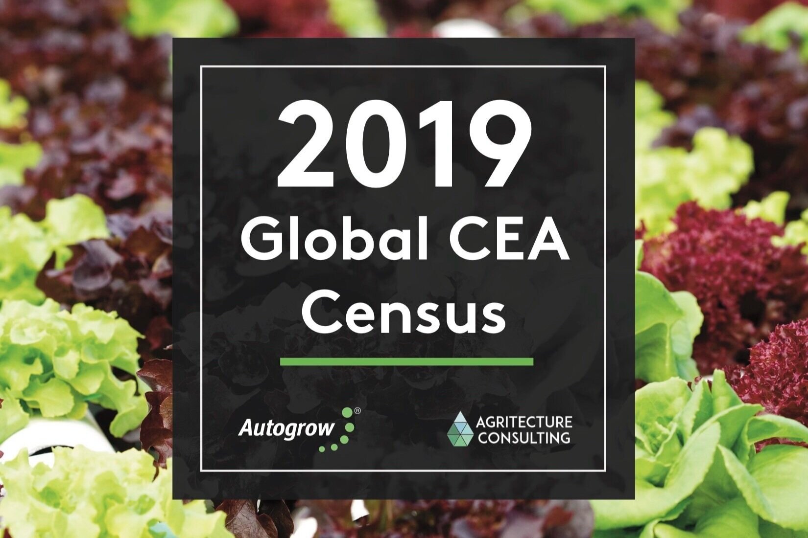 COVER+PAGE+-+2019+Global+CEA+Census+Report (1)