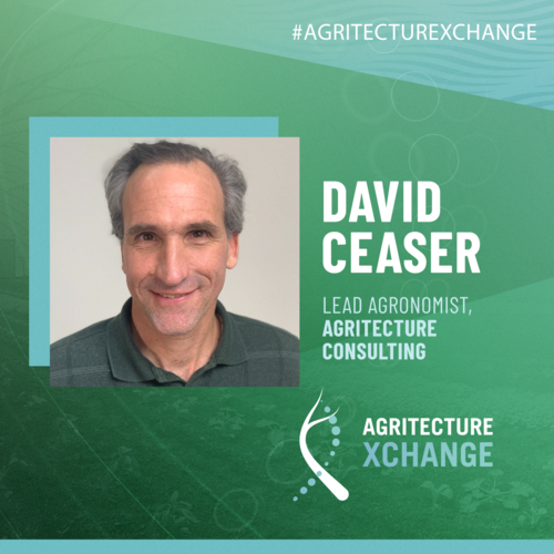 David Ceaser
