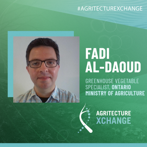 Fadi Al Daoud