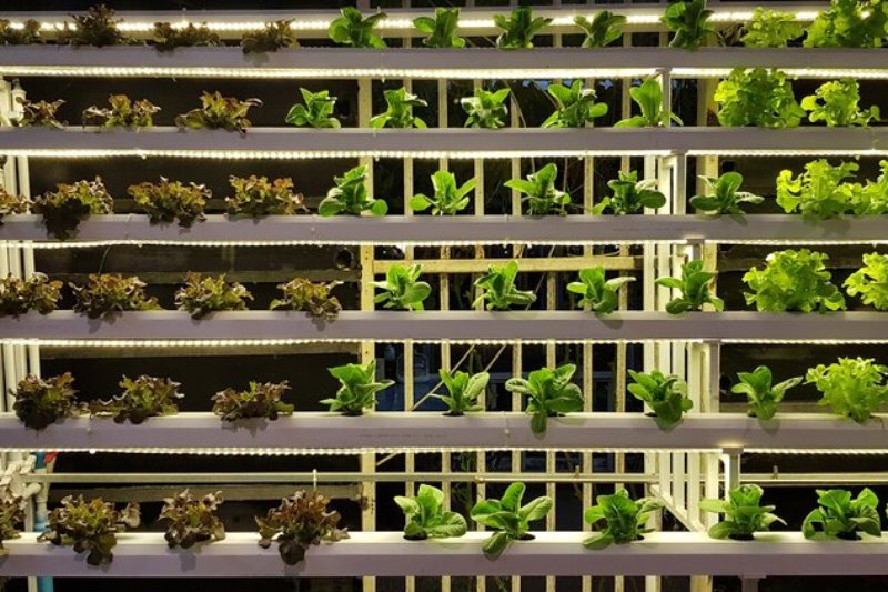 Fresh+Garden+Hydroponics+Center