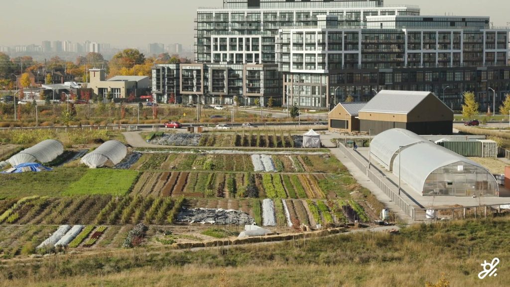 Fresh-City-Farms-1024x576
