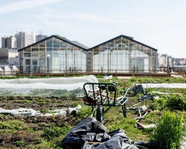 Image sourced from Agri City