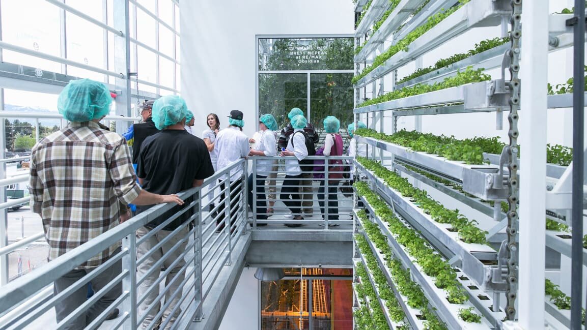 [Image: Harriman/Gyde/courtesy Vertical Harvest]