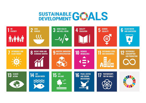 The United Nations’ 17 Sustainable Development Goals; image sourced from the United Nations Department of Economic and Social Affairs