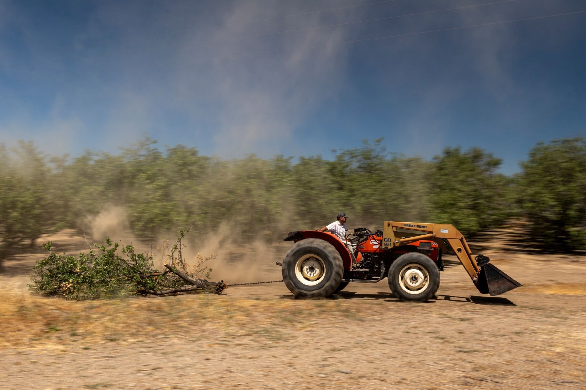 In Gustine, California, almond farmer Erich Gemperle clears a wind-felled tree with his tractor; Photographer: David Paul Morris/Bloomberg