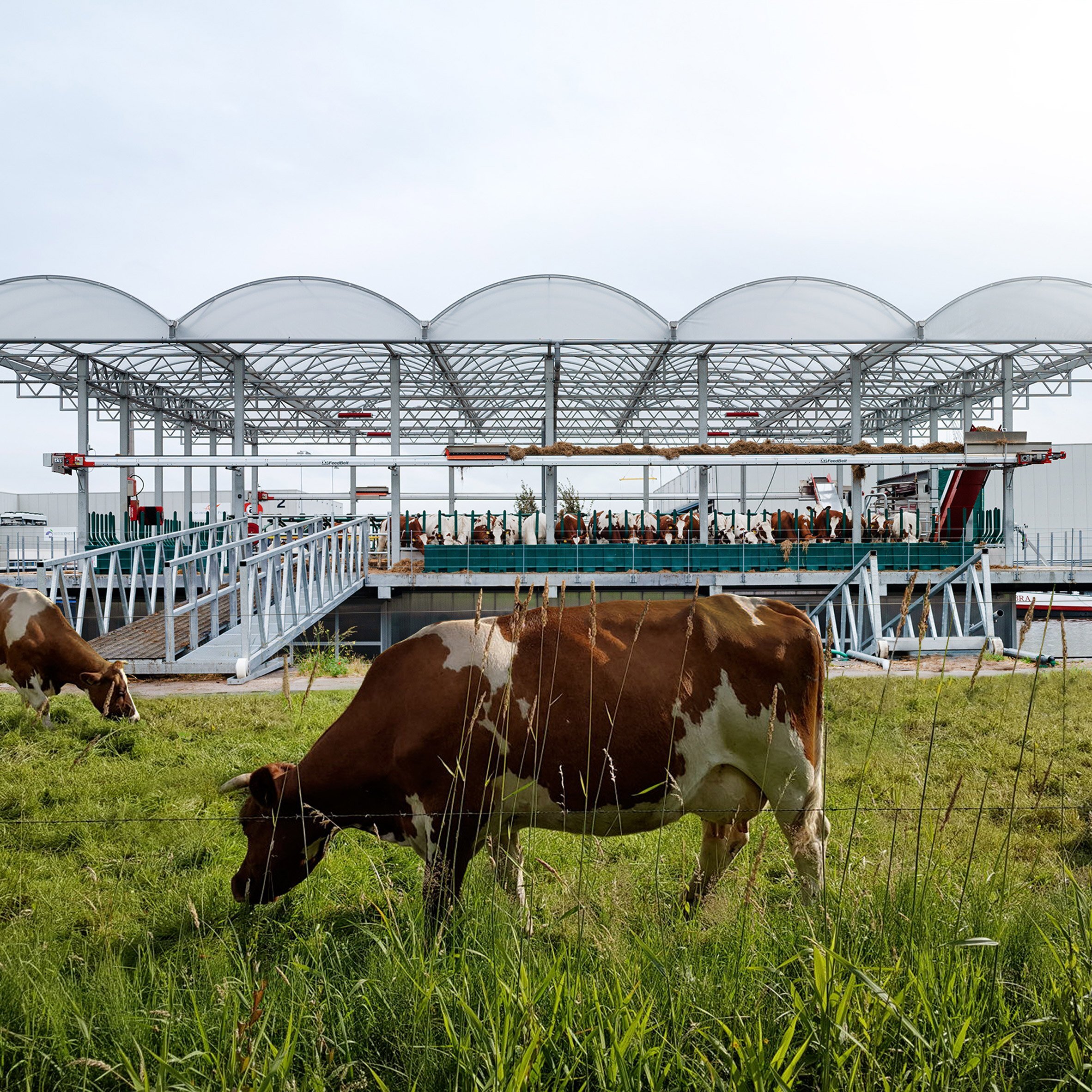 Image sourced from the Floating Farm Rotterdam, and designed by the architecture studio Goldsmith