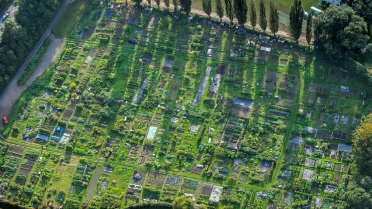 Fruit and vegetable allotments on the outskirts of Henley-on-Thames, England. Source: David Goddard | Getty Images News | Getty Images