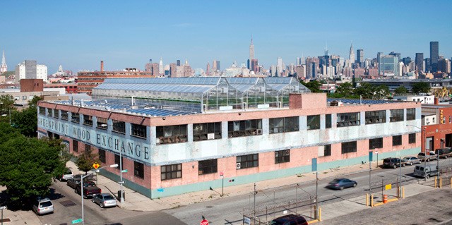 120863_greenhouse_greenpoint.jpg