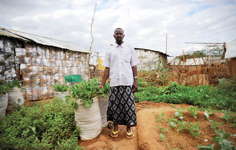 In Nairobi's Kibera slum, urban agriculture is thriving. Slums across India are following suit.