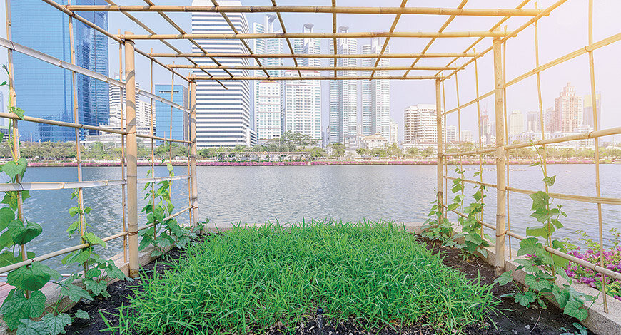 1516021178_3k4nxh_Urban-farming-shutterstock.jpg