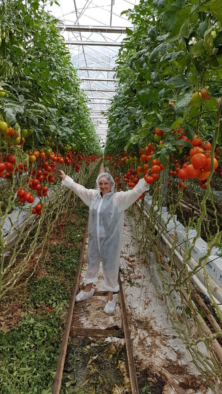 Photo taken at Intergrow Greenhouses
