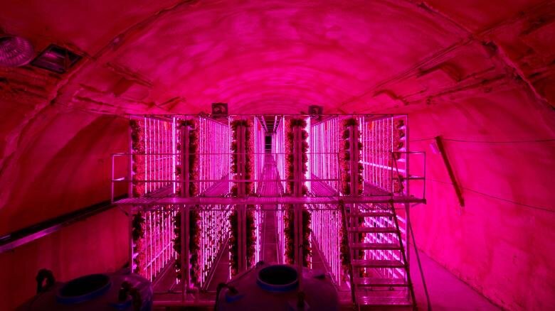 191126112152-vertical-tunnel-farming-south-korea-1-exlarge-169.jpg