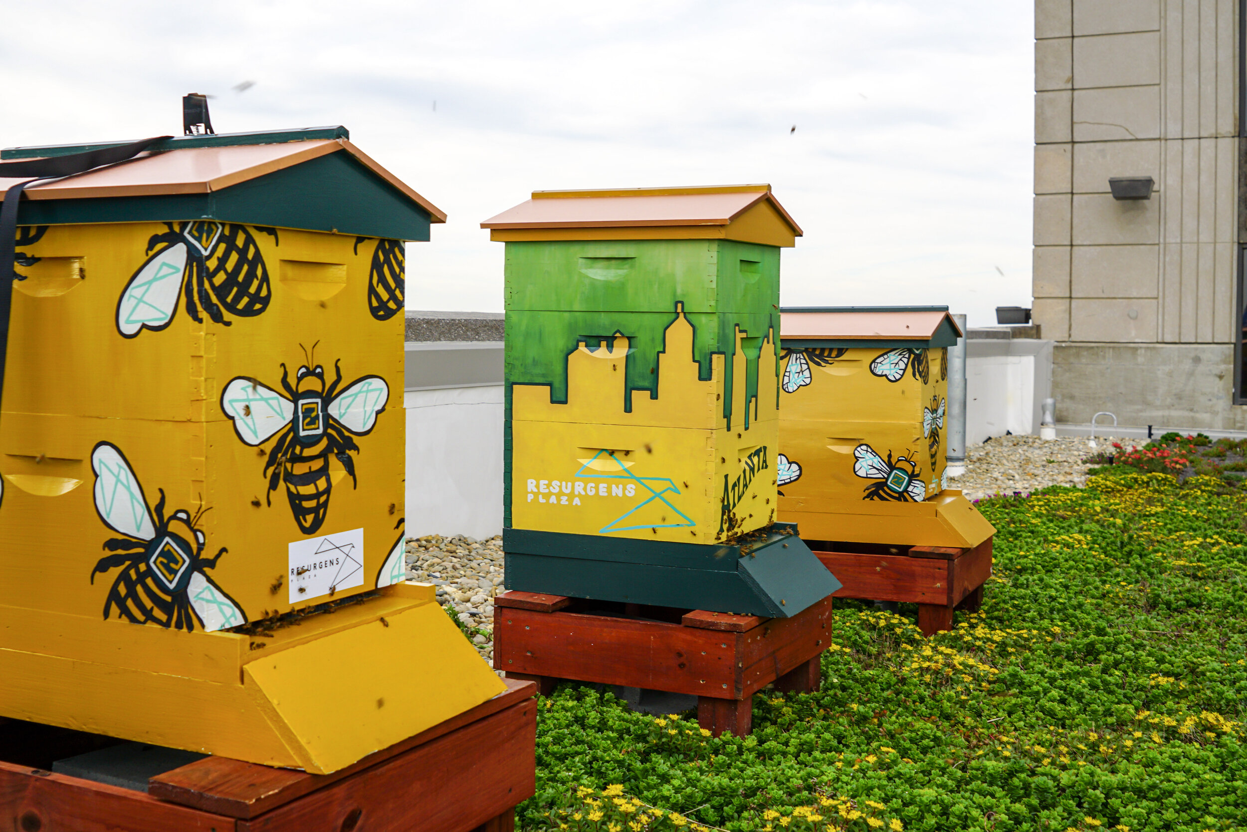 Image sourced from Bee Downtown