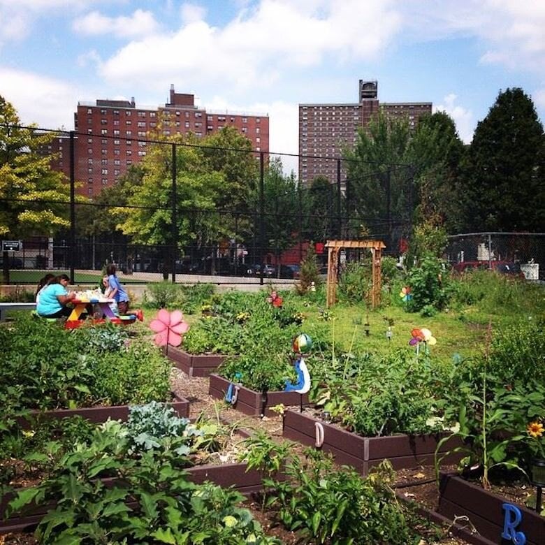 Image sourced from GrowNYC