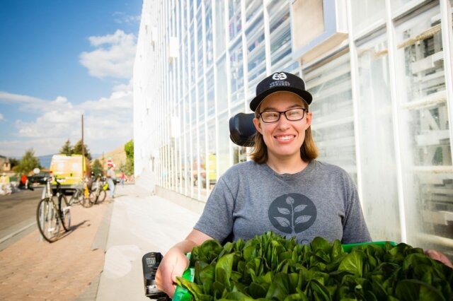 Image sourced from Vertical Harvest