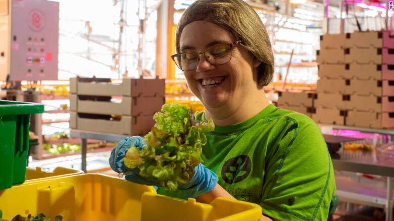 Mycah Miller, a Vertical Harvest employee, packages lettuce greens to be delivered to one of four grocery stores the vertical farm services in Jackson, Wyoming. Imaged sourced from: CNN