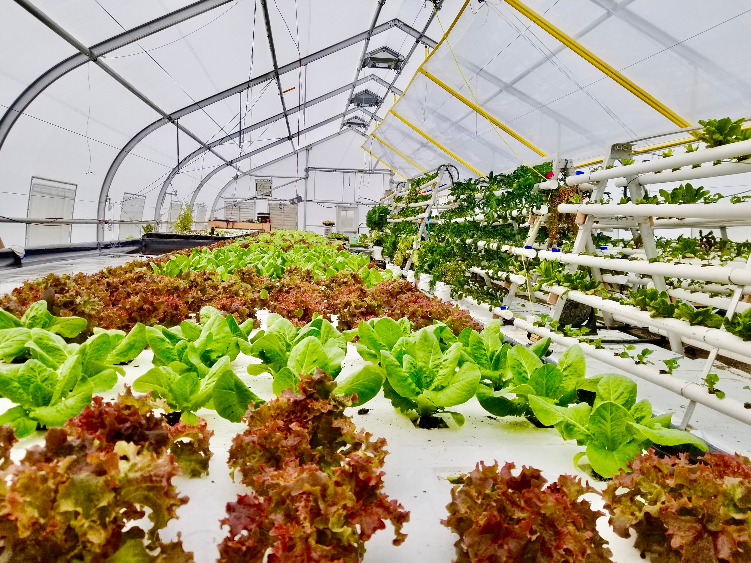 Sprung Campus Greenhouse in Calgary, Alberta; image sourced from Sprung Structures