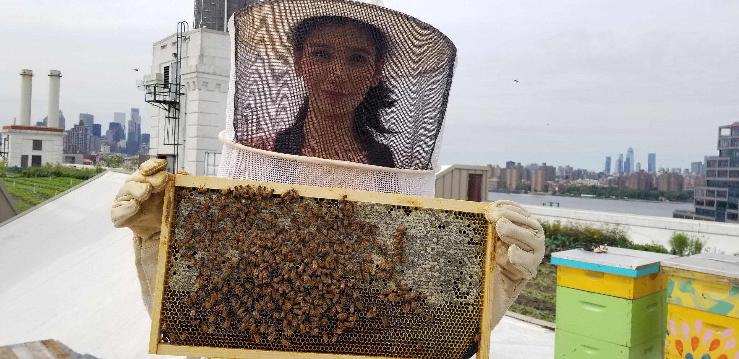 Dhwani at the Brooklyn Grange farm in NYC
