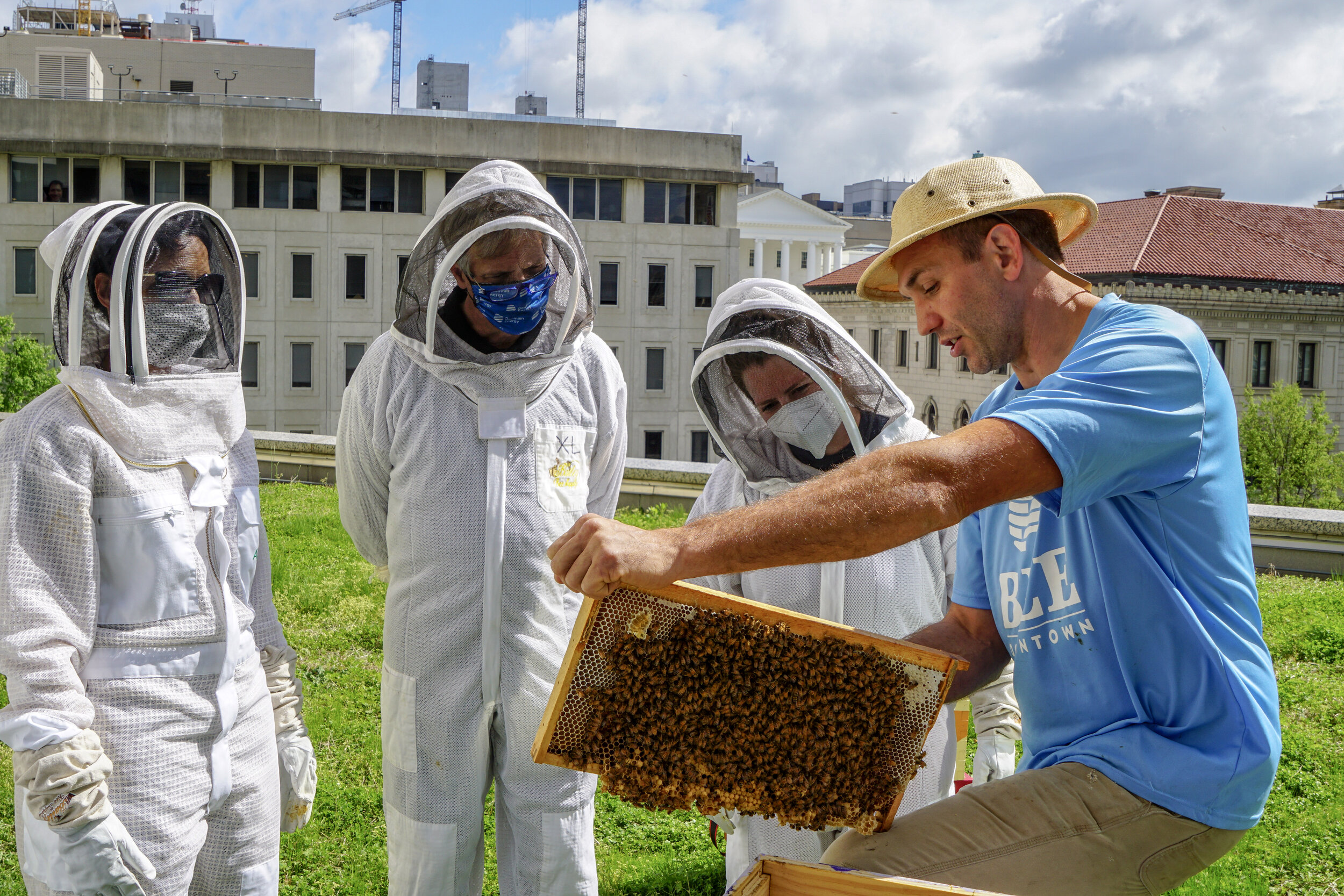 Itinerari nelle Marche: Beekeepers for a day! - Rurally