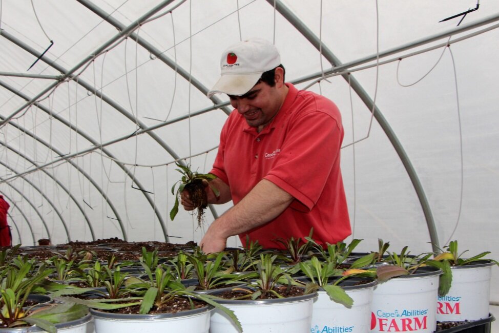 Image sourced from the Cape Abilities Farm