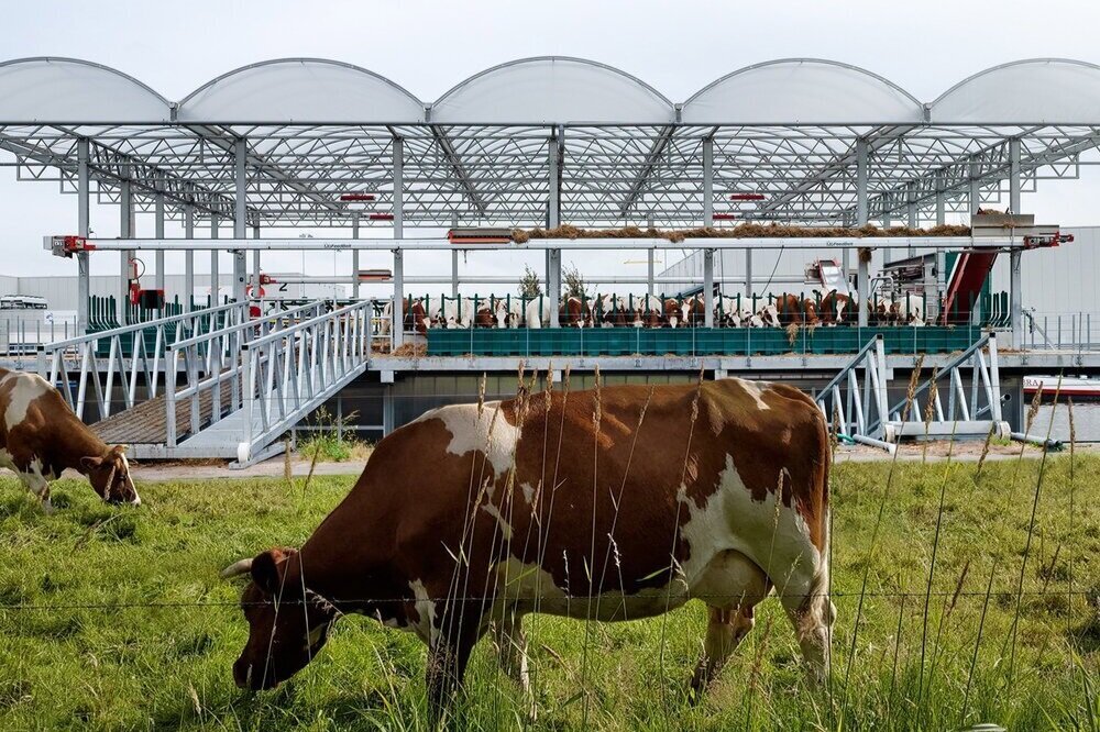 Image sourced from Floating Farm Rotterdam