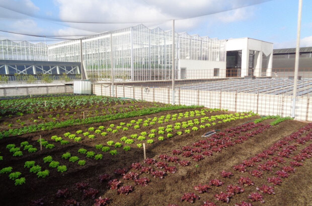 Image sourced from BIGH Farm