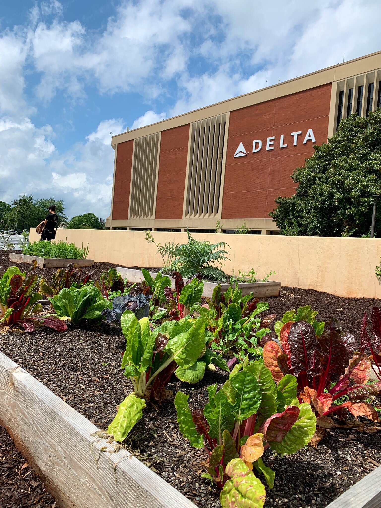 Images of Bee Downtown’s beehives at the Delta corporate farm; image sourced from the AgLanta Conference 2019