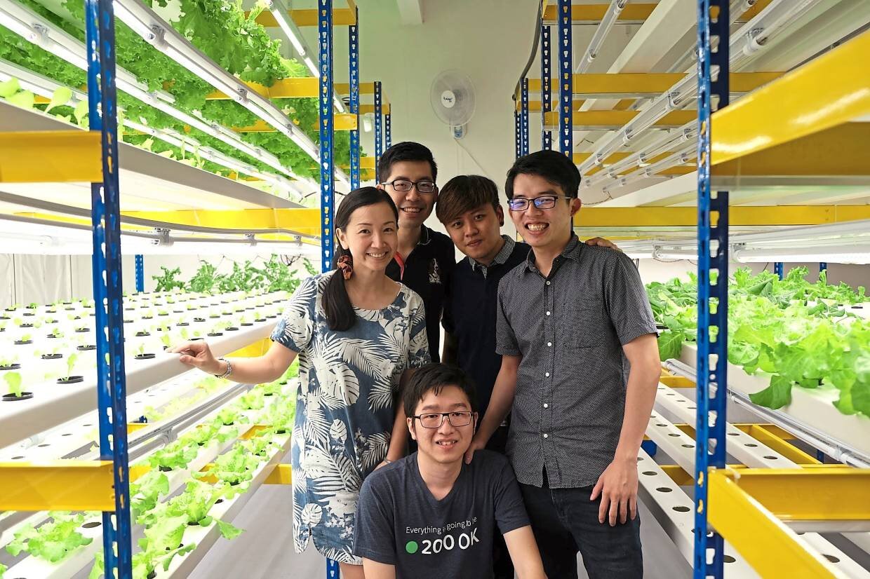 The CityFarm Malaysia team: (from left) Niew Ley Koon, Looi Choon Beng, Koay, Low Cheng Yang and (centre) Chew Jo Han. Photos: CityFarm Malaysia