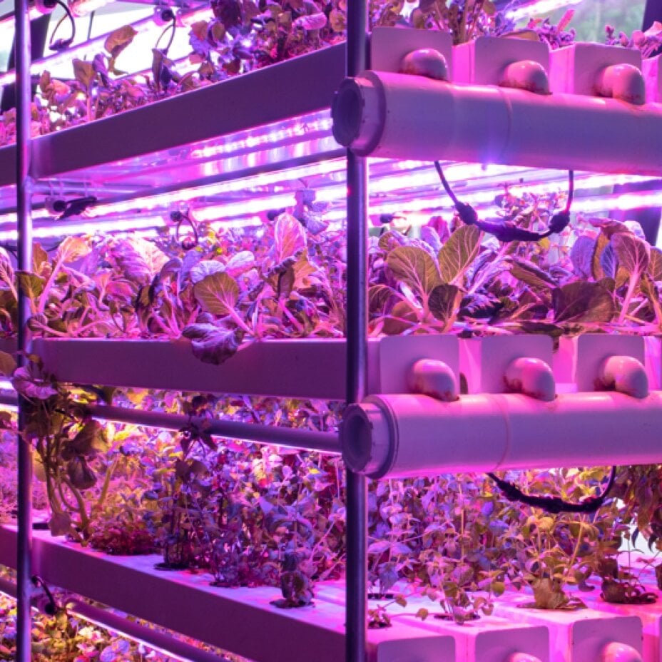 Image sourced from Urban Greens