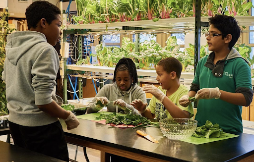 Image sourced from Teens For Food Justice (TFFJ)