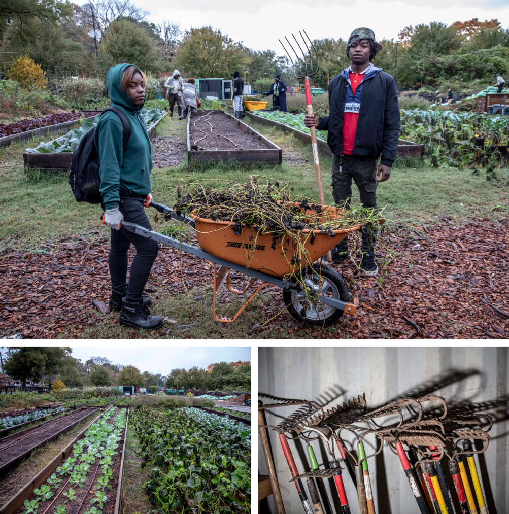 The Gangstas to Growers cohort trains at various black-owned farms in Atlanta. Pictured here is the Truly Living Well farm. | Mark Peterson/ Redux Pictures for Politico Magazine