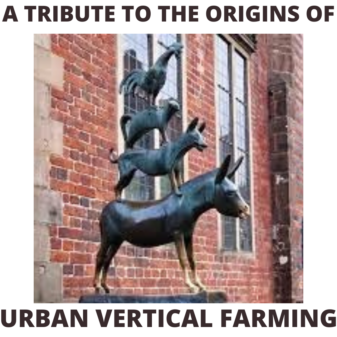 Caption: Sarah was recently named an urban farming meme queen! This is one of her submissions to the 12 Steps of Farming’s Urban Farming Meme Tournament, in collaboration with Agritecture’s Systems Engineer, Alberto Lopez.