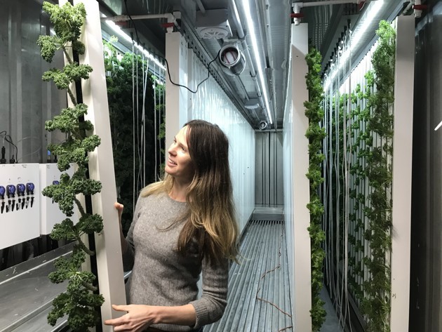 Ana Buckman, Acre in a Box’s CFO, shows off kale that was later sent off to local businesses in Houston. (Meagan Flynn / The Atlantic)