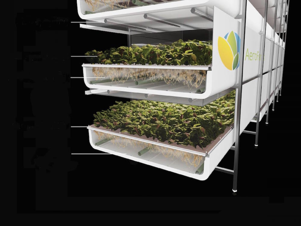 AeroFarms’ vertical gardens grow under energy-efficient LED lights and use up to 70 percent less water, compared with more traditional soil-based or horizontal farming. Its largest facility, in Newark, New Jersey, produces 2 million pounds of leafy …