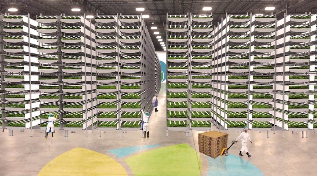AeroFarmsFarmInteriorGrowingRoom.jpg