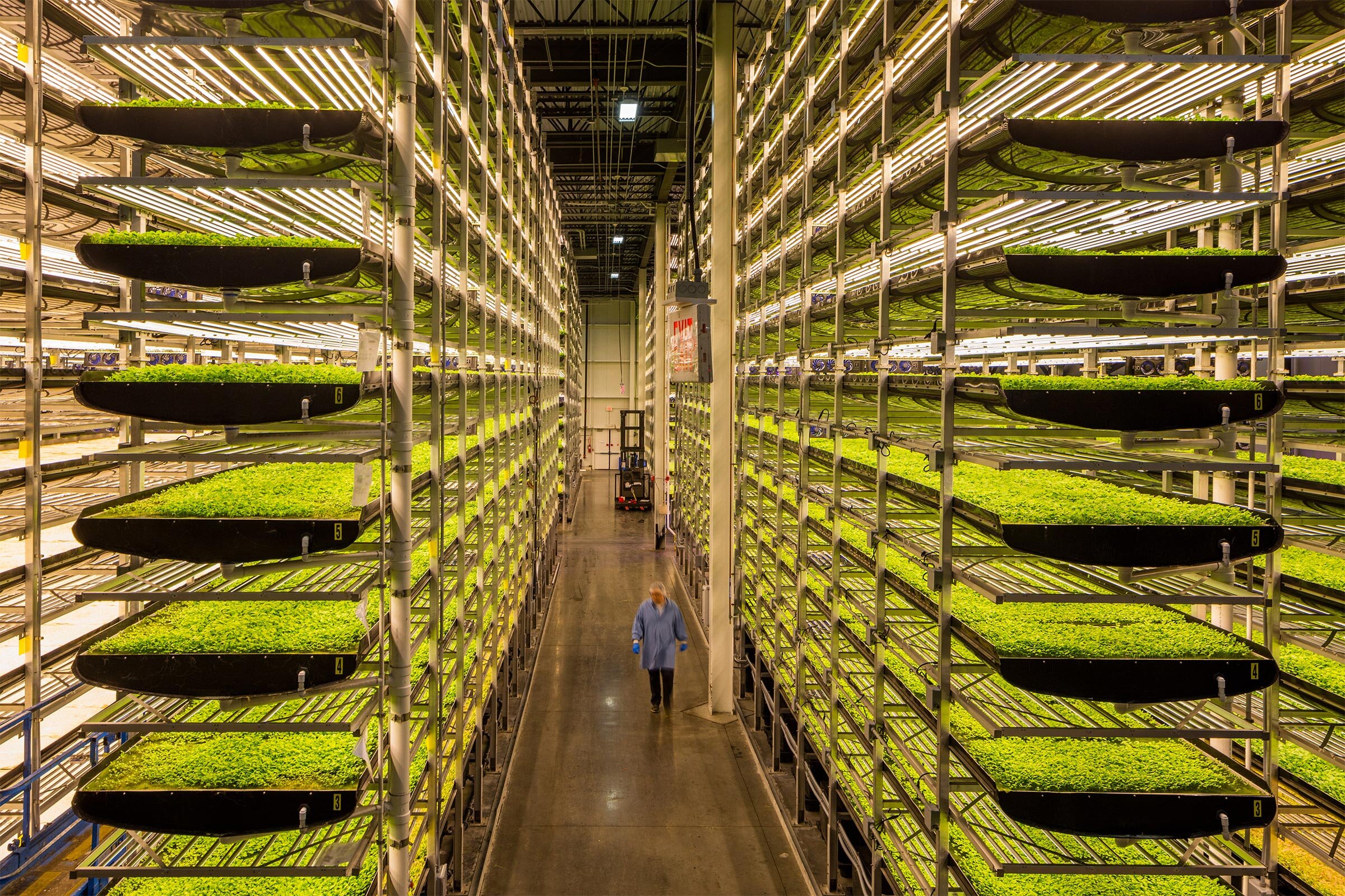 Image sourced from Aerofarms