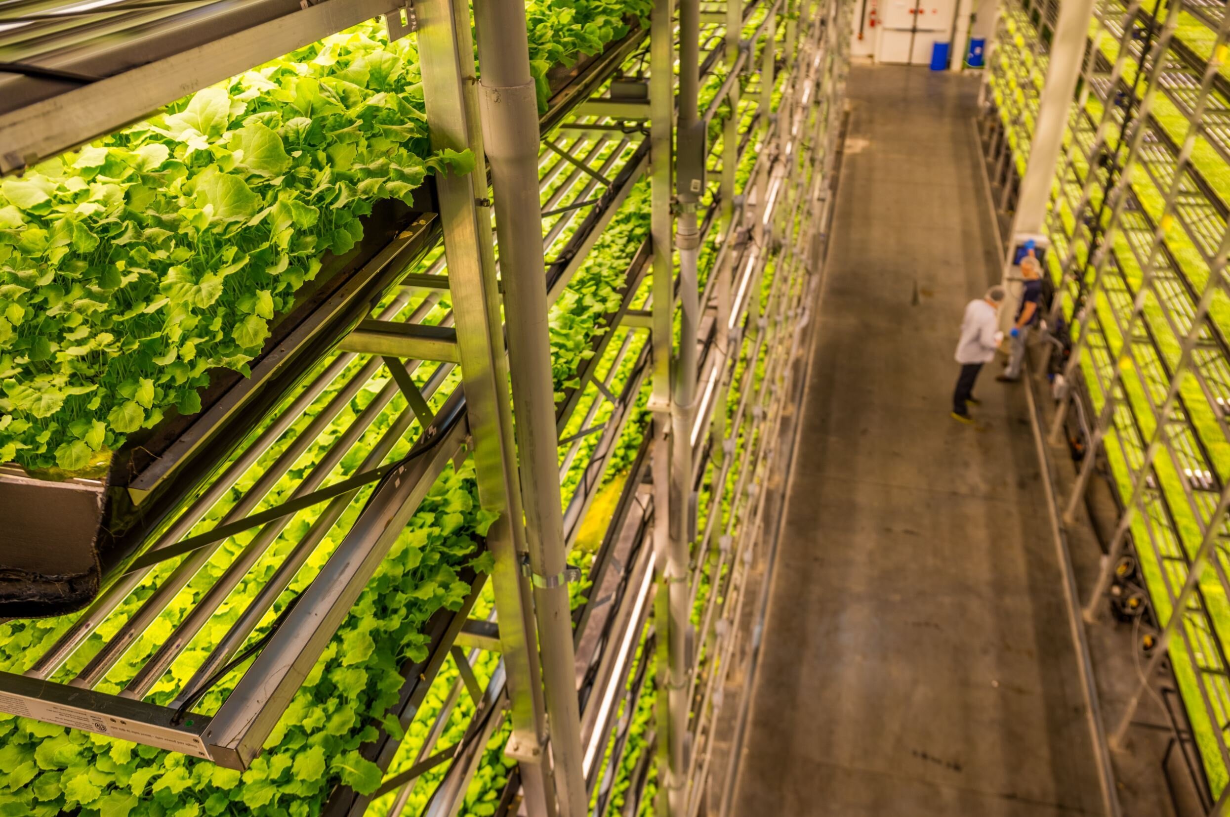 The Aerofarms facility in Jersey City, New Jersey. Photo courtesy of Aerofarms