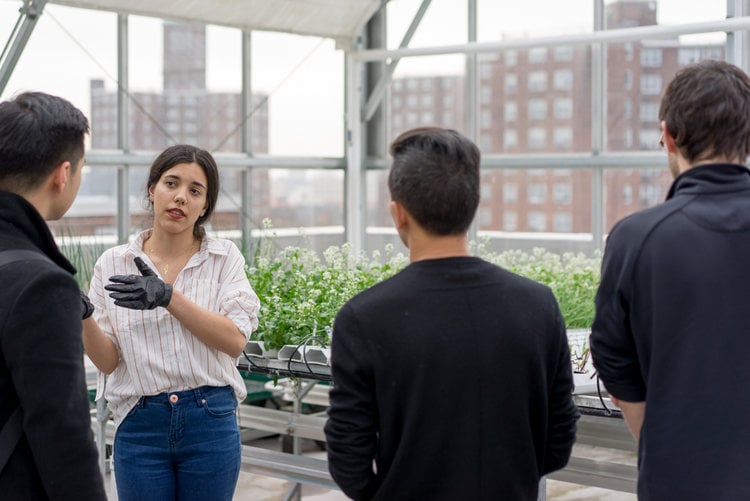 Urban agriculture consultant, Yara Nagi, explains the intricacies of hydroponic rooftop farming.