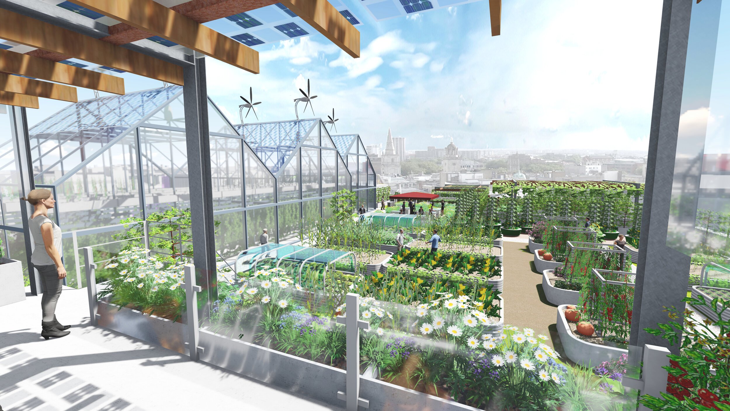 A rendering of the view of the Future City Food Hub’s rooftop