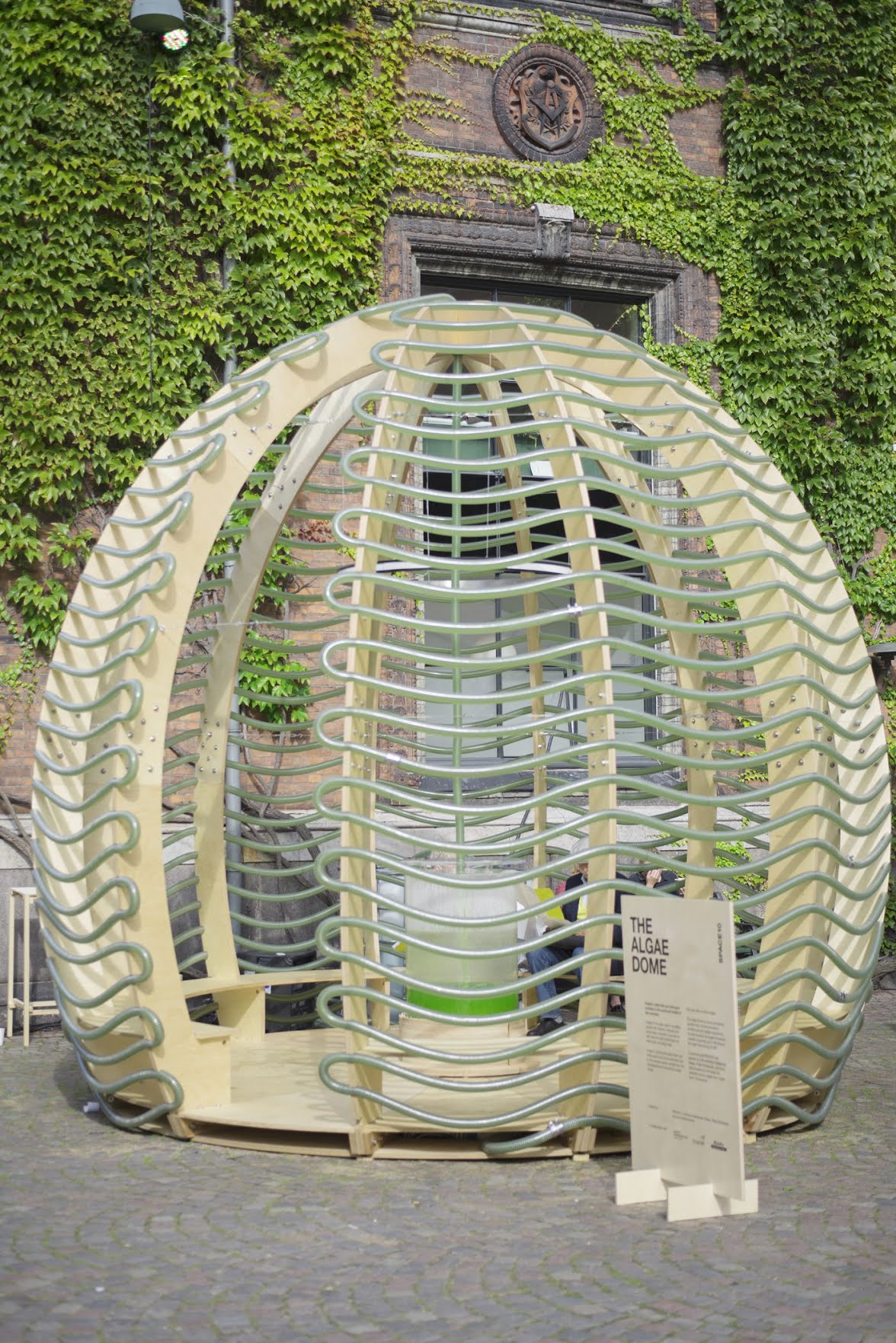 Algae Dome2.jpg