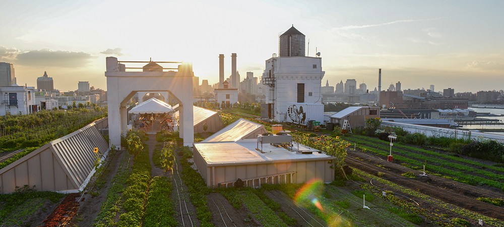 Brooklyn Grange's Navy Yard Farm in New York City.
