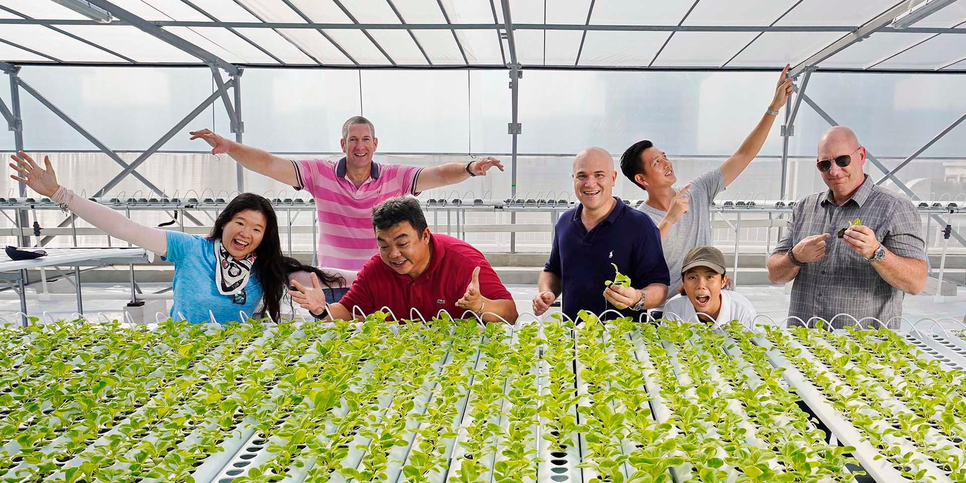 Team members of ComCrop gathered around their rooftop greenhouse