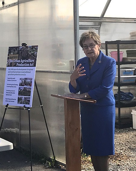 Ohio Congresswoman Marcy Kaptur introduced the Urban Agriculture Production Act in September with the goal of supporting small farmers, helping to eliminate food deserts and promoting local agriculture.&nbsp;
