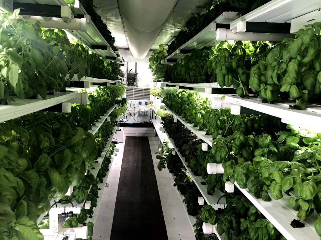 Image sourced from Cubic Farms