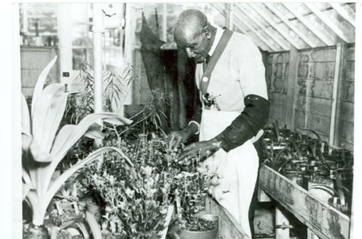 D.2.10 Carver in greenhouse at Tuskegee Institute, circa 1935.jpg