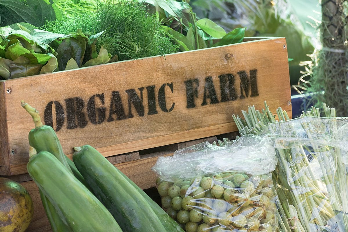 a collection of fresh produce with a wooden produce box with an "organic farm" label