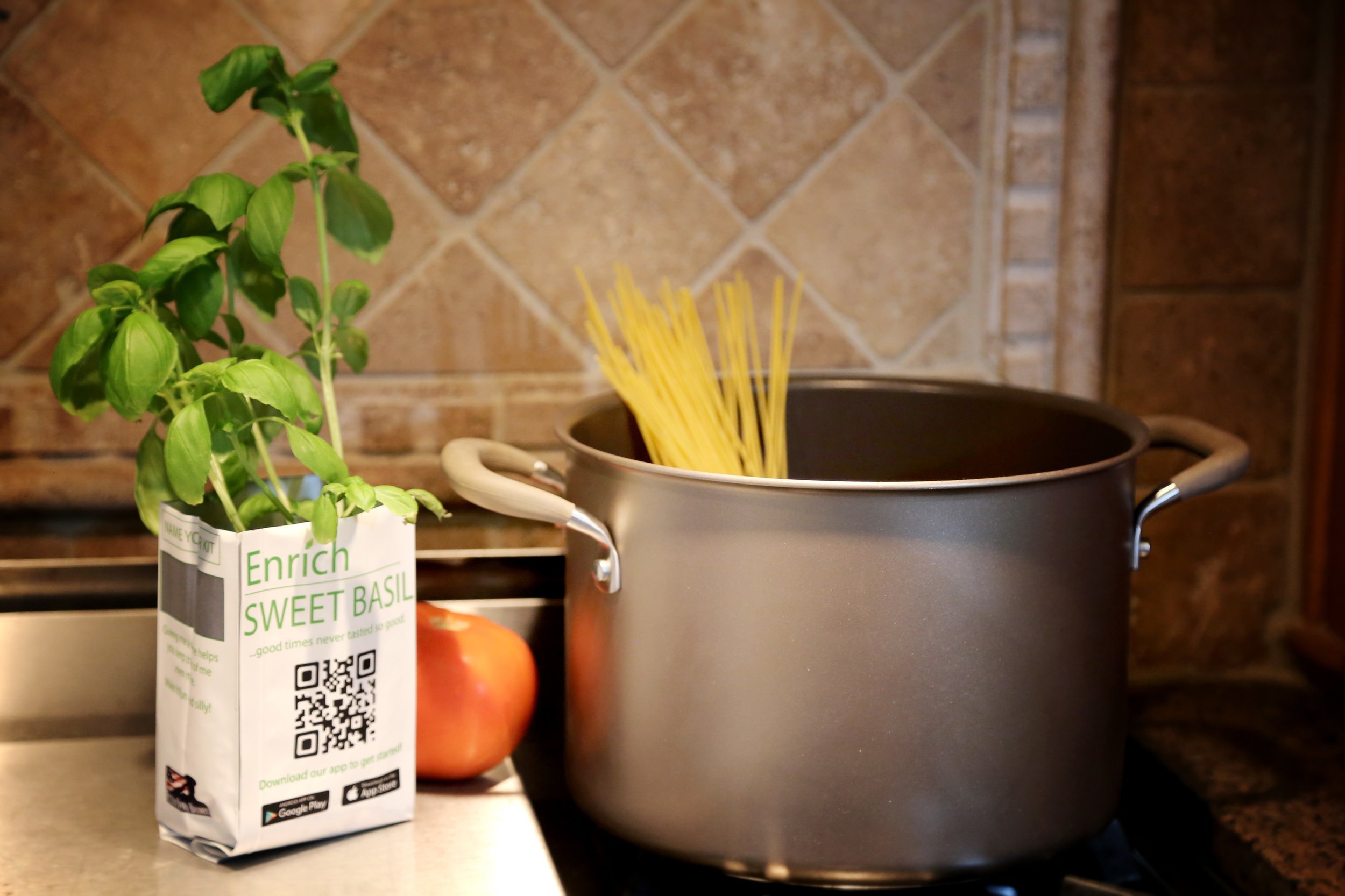 Enrich Basil.jpg