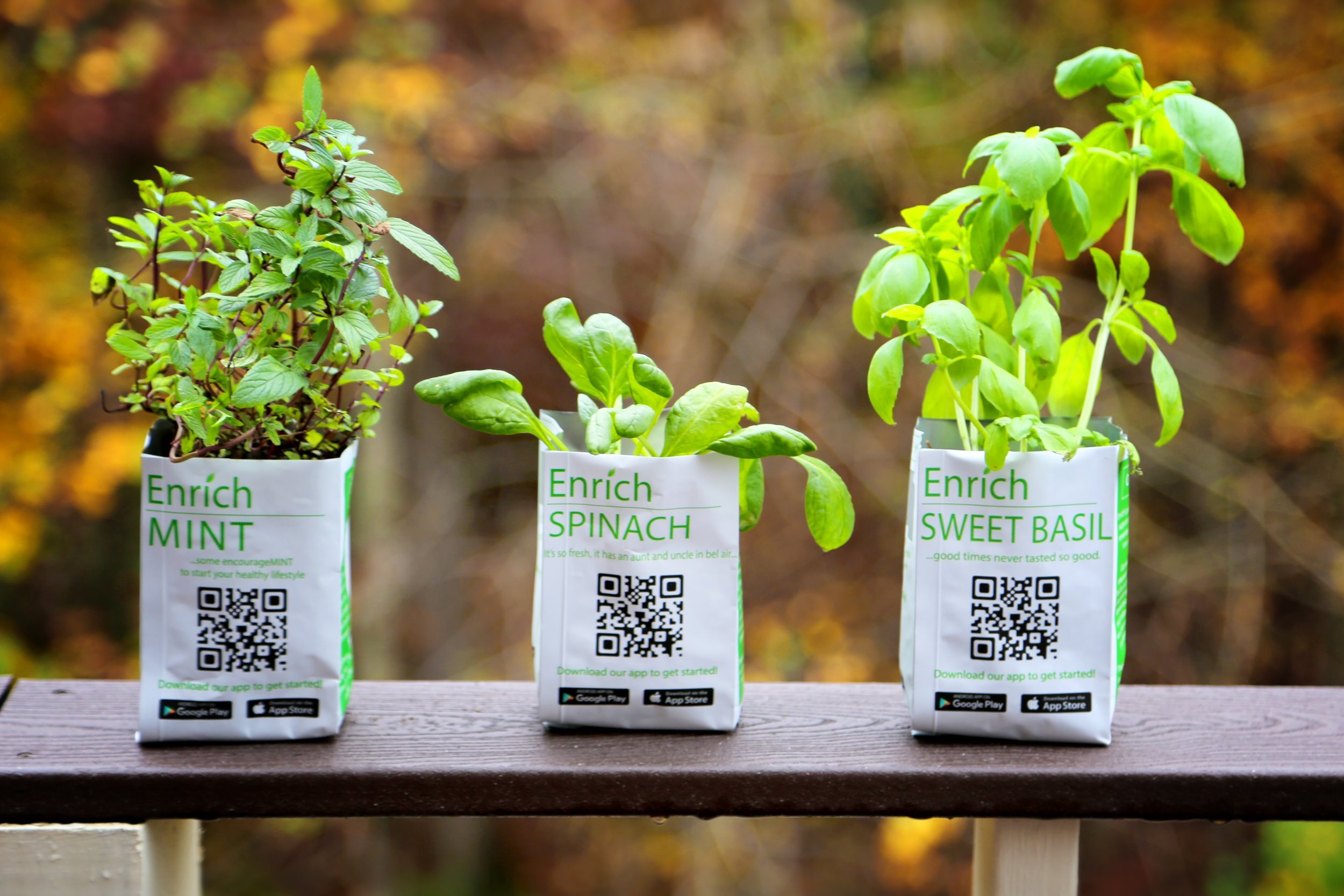 Enrich Plants.jpg